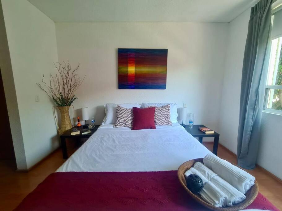 Excelente Departamento En La Condesa Apartman Mexikóváros Kültér fotó